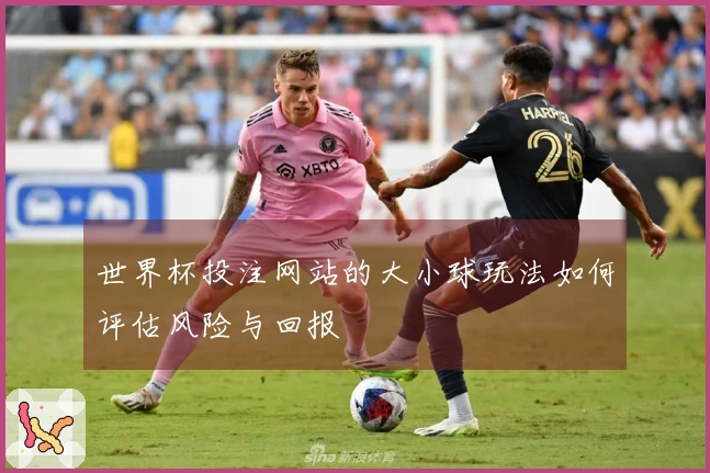 世界杯投注网站的大小球玩法如何评估风险与回报