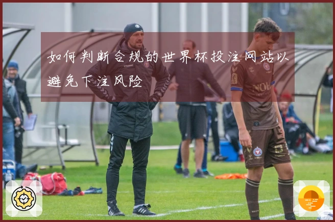 如何判断合规的世界杯投注网站以避免下注风险
