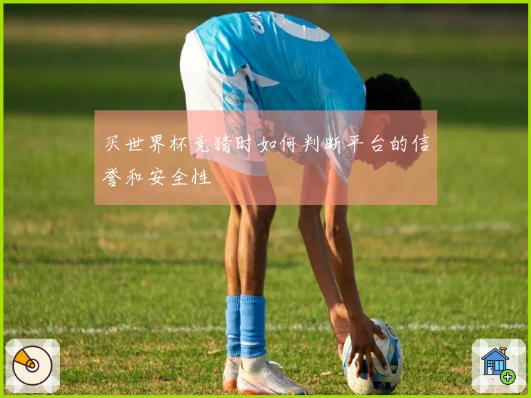 买世界杯竞猜时如何判断平台的信誉和安全性