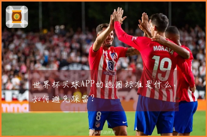 世界杯买球APP的选用标准是什么，如何避免踩雷？