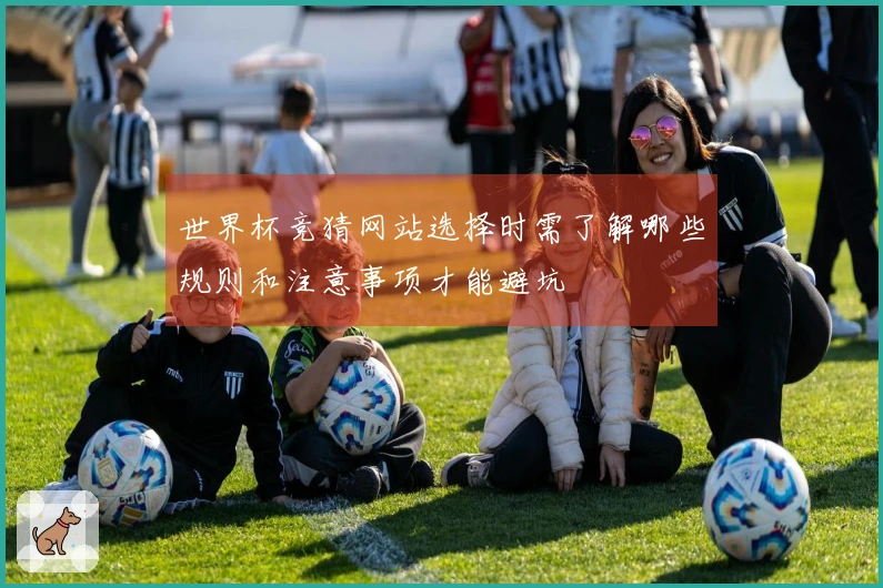 世界杯竞猜网站选择时需了解哪些规则和注意事项才能避坑