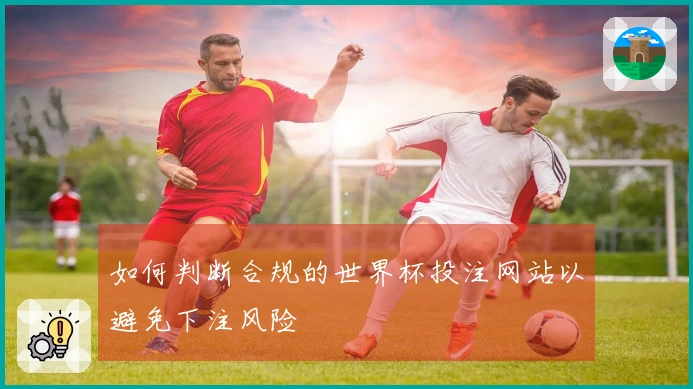 如何判断合规的世界杯投注网站以避免下注风险