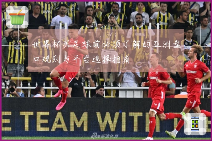 世界杯买足球前必须了解的亚洲盘口规则与平台选择指南