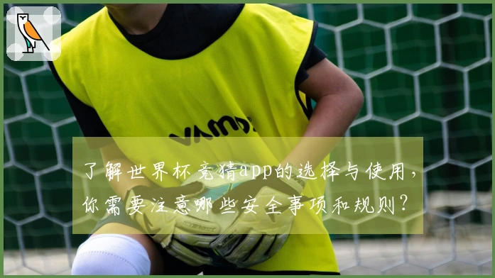 了解世界杯竞猜app的选择与使用，你需要注意哪些安全事项和规则？