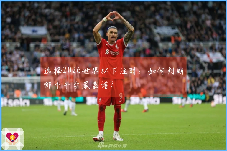 选择2026世界杯下注时，如何判断哪个平台最靠谱？