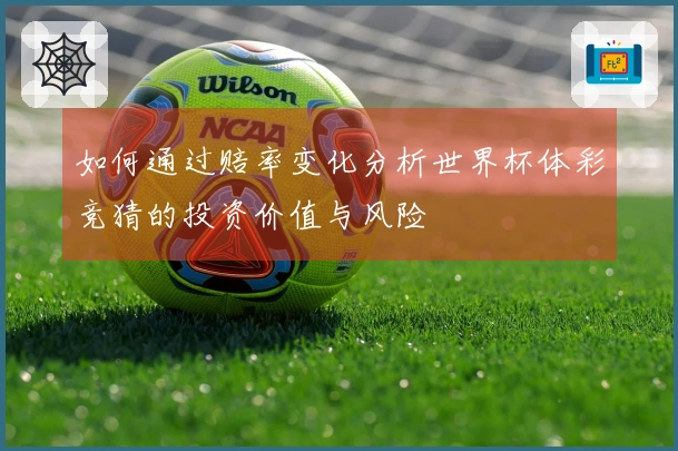 如何通过赔率变化分析世界杯体彩竞猜的投资价值与风险