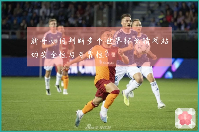新手如何判断多个世界杯竞猜网站的安全性与可靠性？