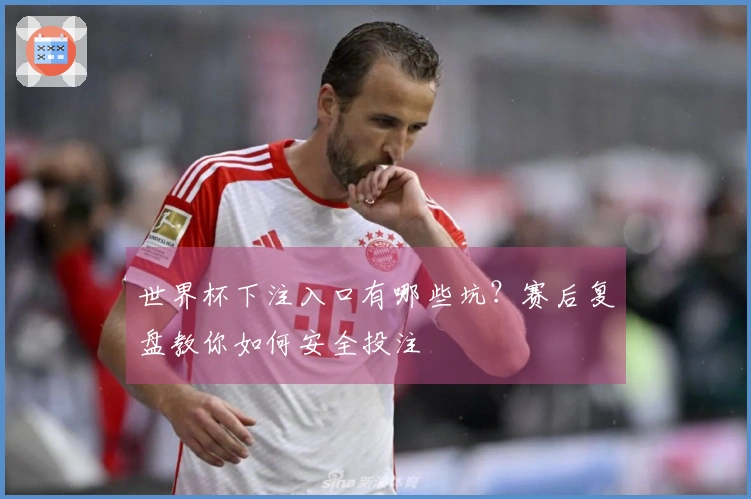 世界杯下注入口有哪些坑？赛后复盘教你如何安全投注