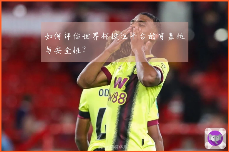 如何评估世界杯投注平台的可靠性与安全性？