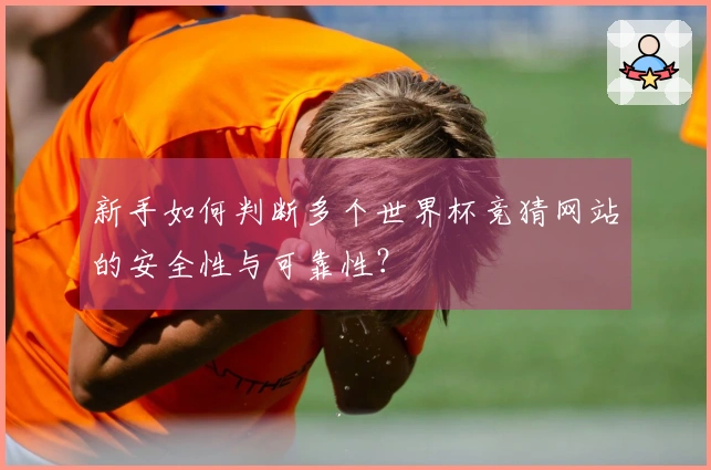 新手如何判断多个世界杯竞猜网站的安全性与可靠性？