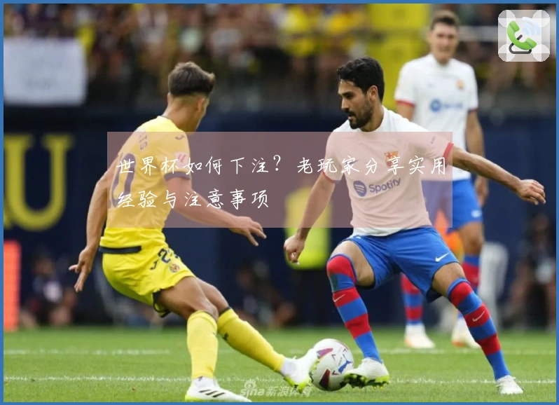 世界杯如何下注？老玩家分享实用经验与注意事项