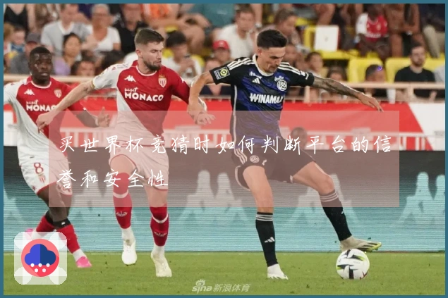 买世界杯竞猜时如何判断平台的信誉和安全性