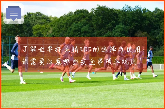 了解世界杯竞猜app的选择与使用，你需要注意哪些安全事项和规则？