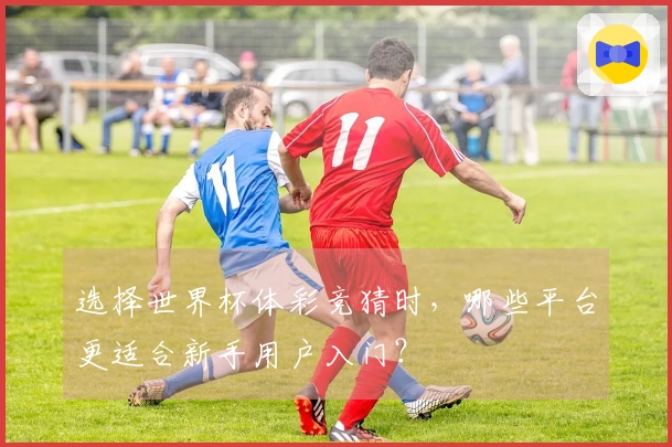选择世界杯体彩竞猜时，哪些平台更适合新手用户入门？