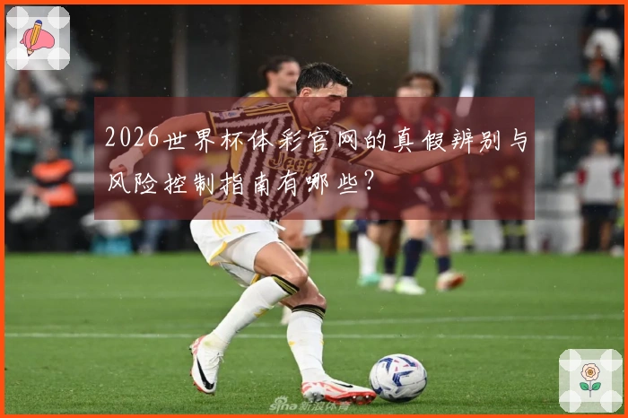 2026世界杯体彩官网的真假辨别与风险控制指南有哪些？