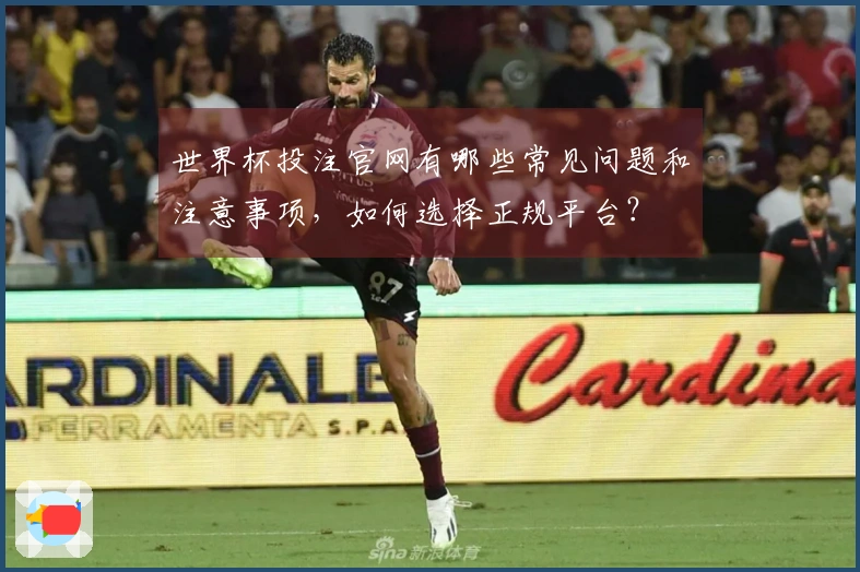 世界杯投注官网有哪些常见问题和注意事项，如何选择正规平台？